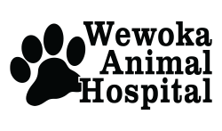 Wewoka Animal Hospital