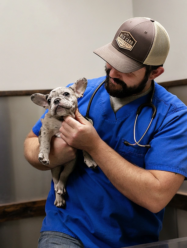 We're Excited to Meet You& Your Pets