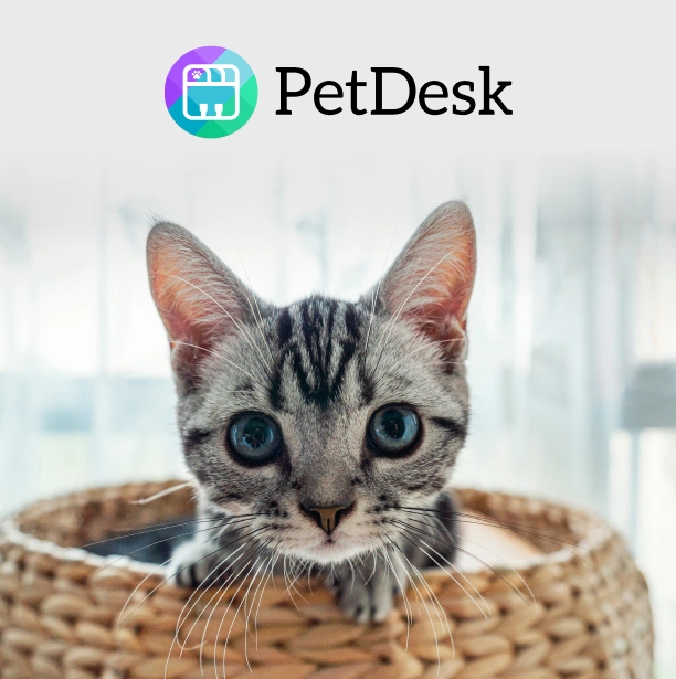 Appointment Requests, Medical History & More