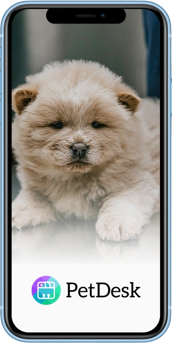 Petdesk App On Mobile