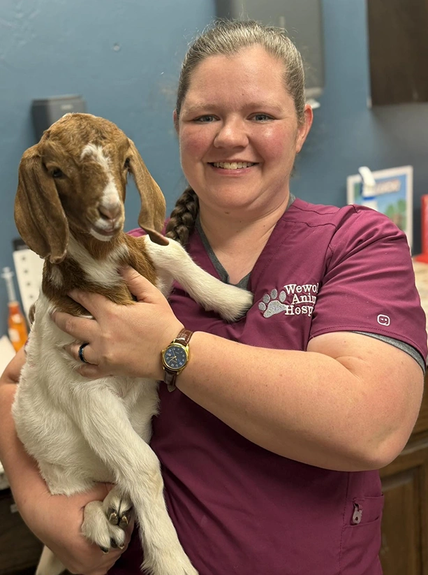 Stay Connected Download Our PetDesk App Today!