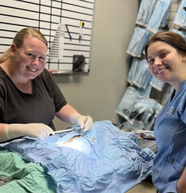 Veterinary Pet Surgery