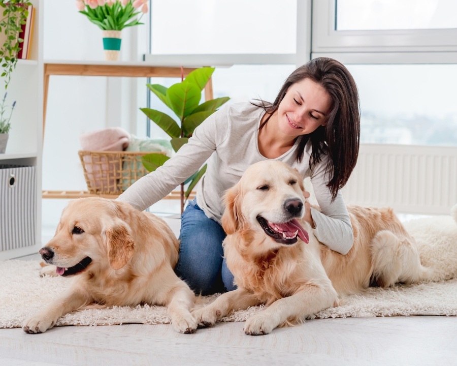 pet-preventive-care-keep-your-pet-healthy-and-happy